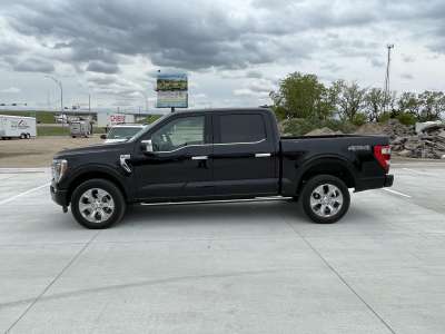 Used 2023 Ford F-150 Platinum Crew Cab Truck for sale in Grand Island NE
